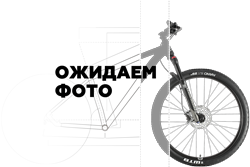 Велосипед Maxiscoo "S007" PRO 14'' (2024)